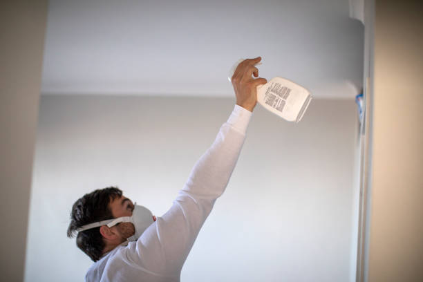 Best White Mold Remediation in Los Altos, CA