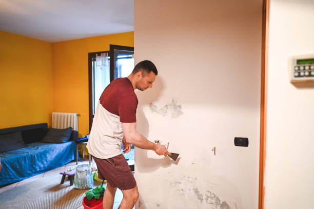 Best Emergency Mold Remediation in Los Altos, CA